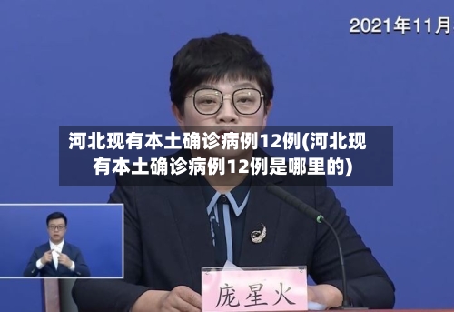 河北现有本土确诊病例12例(河北现有本土确诊病例12例是哪里的)