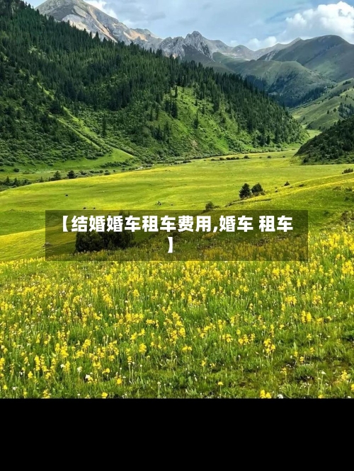 【结婚婚车租车费用,婚车 租车】