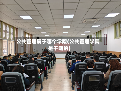公共管理属于哪个学院(公共管理学院是干嘛的)
