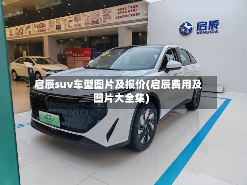 启辰suv车型图片及报价(启辰费用及图片大全集)-第2张图片