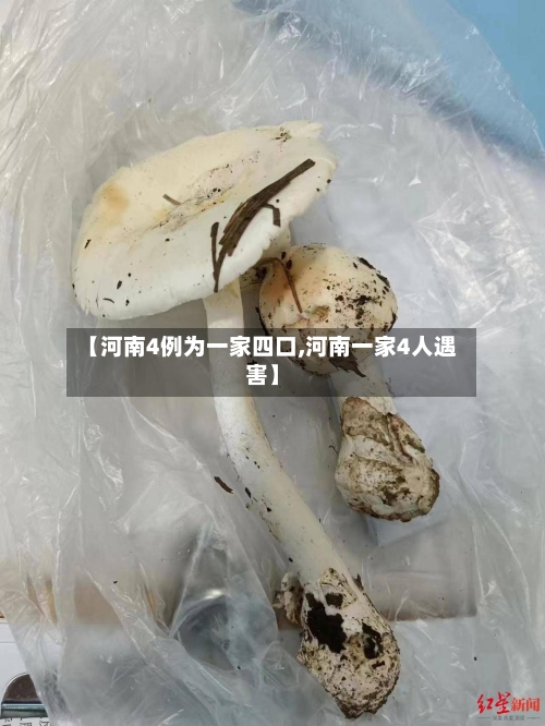 【河南4例为一家四口,河南一家4人遇害】-第3张图片