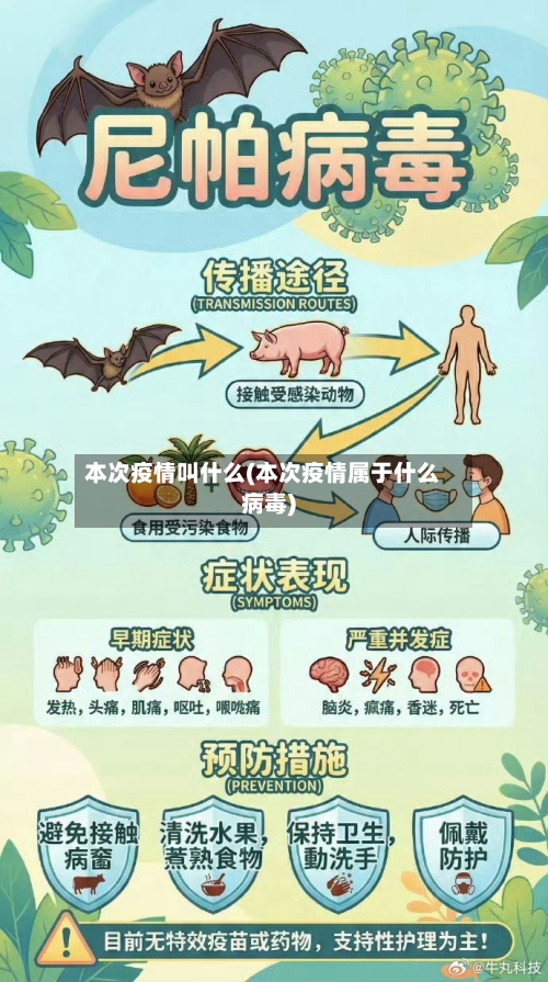 本次疫情叫什么(本次疫情属于什么病毒)-第3张图片