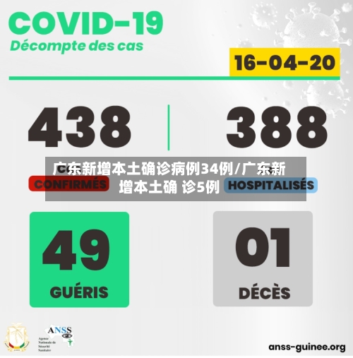广东新增本土确诊病例34例/广东新增本土确 诊5例
