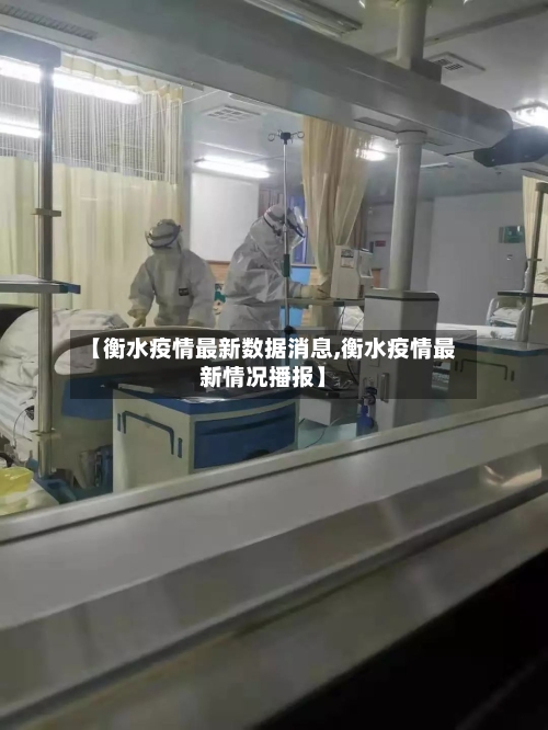 【衡水疫情最新数据消息,衡水疫情最新情况播报】-第2张图片