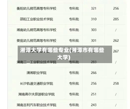湘潭大学有哪些专业(湘潭市有哪些大学)