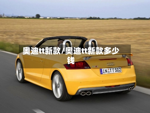 奥迪tt新款/奥迪tt新款多少钱-第2张图片