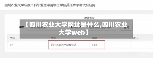 【四川农业大学网址是什么,四川农业大学web】