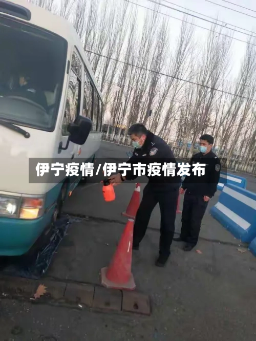 伊宁疫情/伊宁市疫情发布-第2张图片