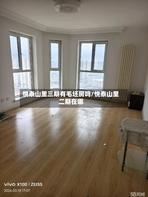 悦泰山里三期有毛坯房吗/悦泰山里二期在哪-第2张图片