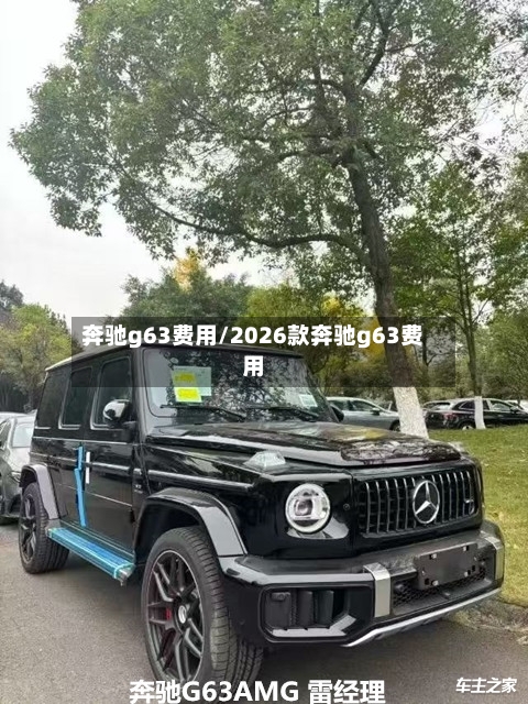 奔驰g63费用/2026款奔驰g63费用