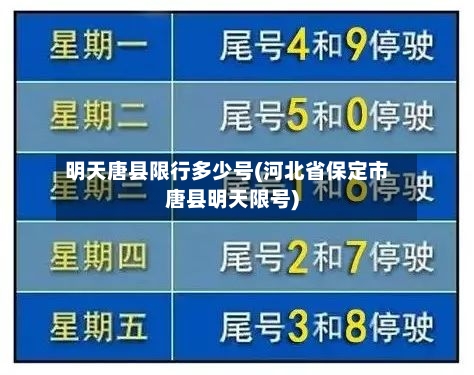 明天唐县限行多少号(河北省保定市唐县明天限号)-第3张图片