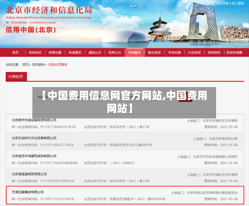 【中国费用信息网官方网站,中国费用网站】