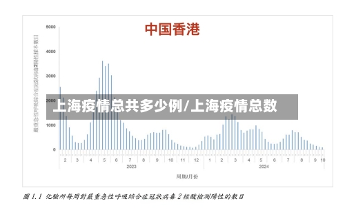 上海疫情总共多少例/上海疫情总数