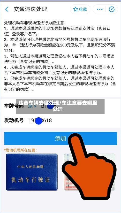 违章车辆去哪处理/车违章要去哪里处理-第3张图片