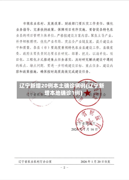 辽宁新增20例本土确诊病例(辽宁新增本地确诊1例)