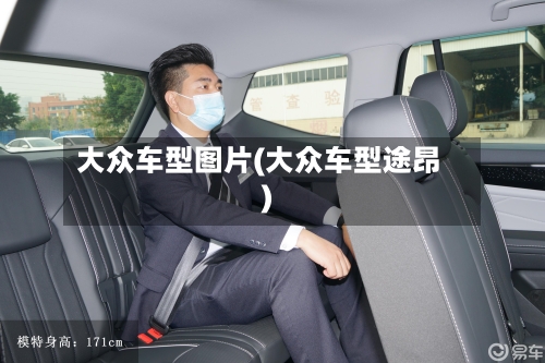 大众车型图片(大众车型途昂)-第2张图片