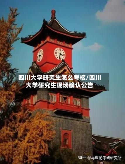 四川大学研究生怎么考核/四川大学研究生现场确认公告