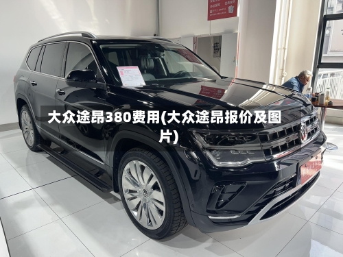 大众途昂380费用(大众途昂报价及图片)