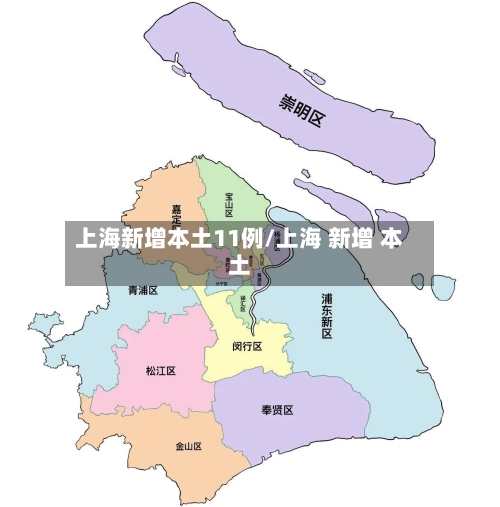 上海新增本土11例/上海 新增 本土-第3张图片