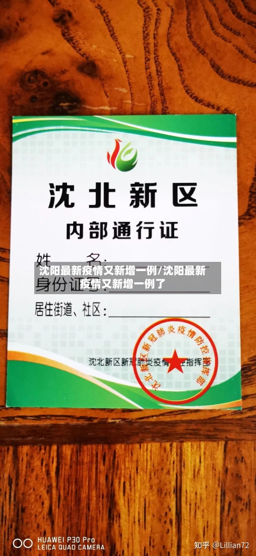 沈阳最新疫情又新增一例/沈阳最新疫情又新增一例了-第2张图片