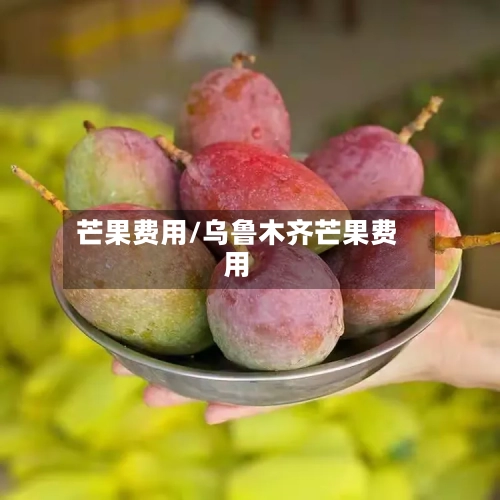芒果费用/乌鲁木齐芒果费用-第3张图片