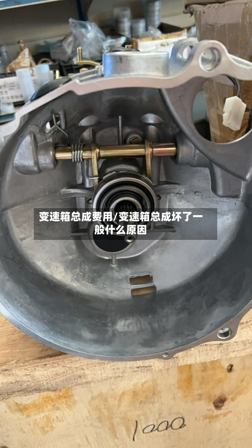 变速箱总成费用/变速箱总成坏了一般什么原因-第2张图片