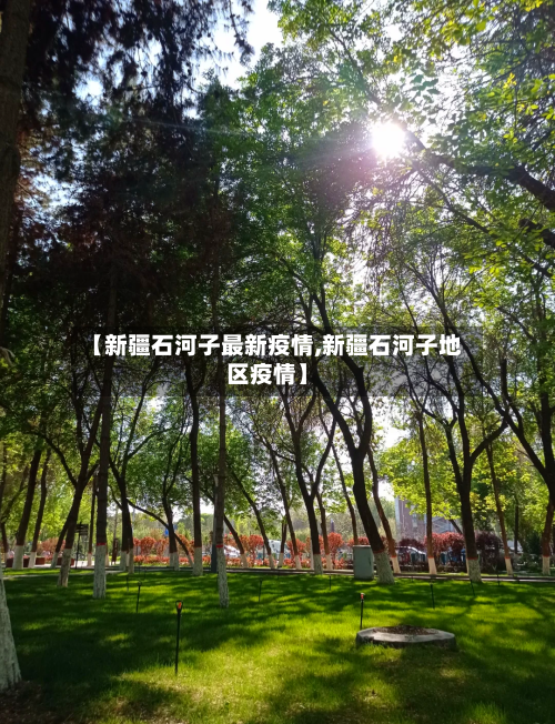 【新疆石河子最新疫情,新疆石河子地区疫情】