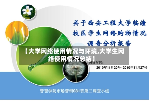 【大学网络使用情况与环境,大学生网络使用情况总结】