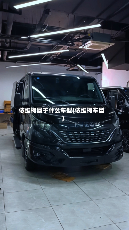 依维柯属于什么车型(依维柯车型)-第2张图片