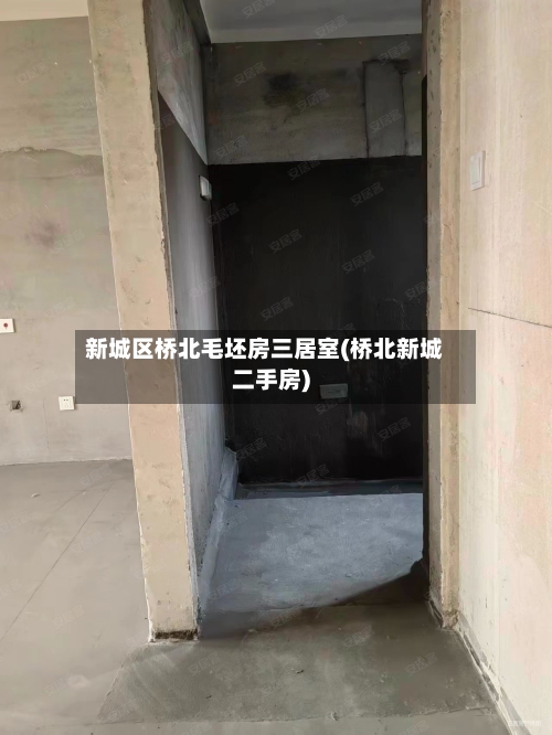 新城区桥北毛坯房三居室(桥北新城二手房)