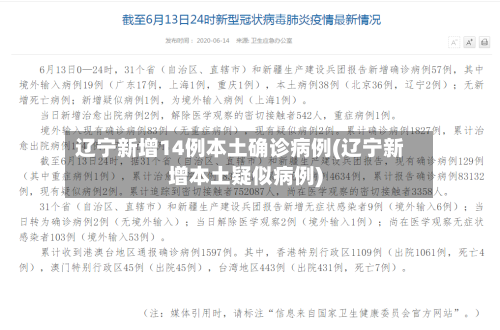 辽宁新增14例本土确诊病例(辽宁新增本土疑似病例)