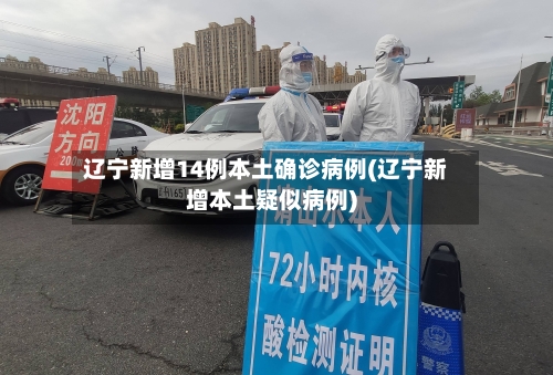 辽宁新增14例本土确诊病例(辽宁新增本土疑似病例)-第2张图片