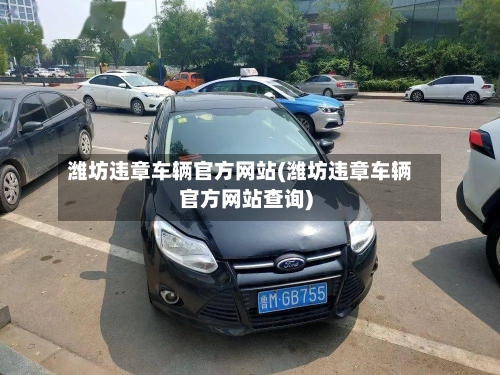 潍坊违章车辆官方网站(潍坊违章车辆官方网站查询)