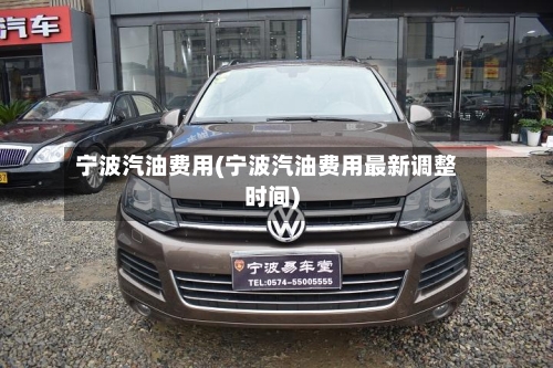 宁波汽油费用(宁波汽油费用最新调整时间)