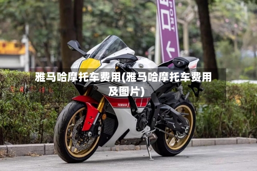 雅马哈摩托车费用(雅马哈摩托车费用及图片)-第2张图片