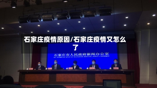 石家庄疫情原因/石家庄疫情又怎么了-第2张图片