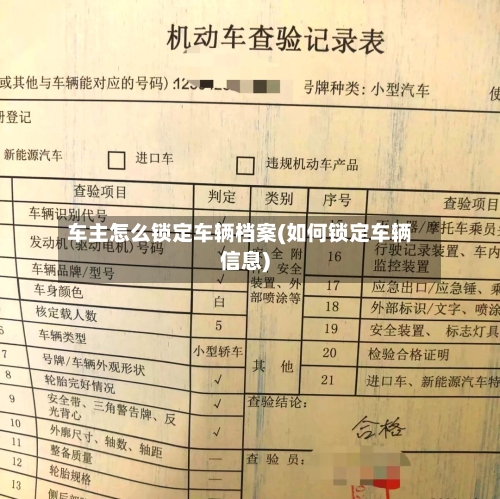 车主怎么锁定车辆档案(如何锁定车辆信息)