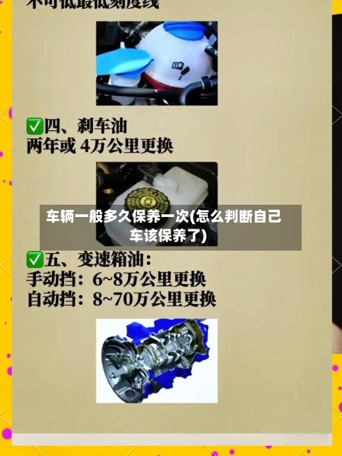 车辆一般多久保养一次(怎么判断自己车该保养了)