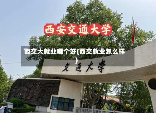 西交大就业哪个好(西交就业怎么样)