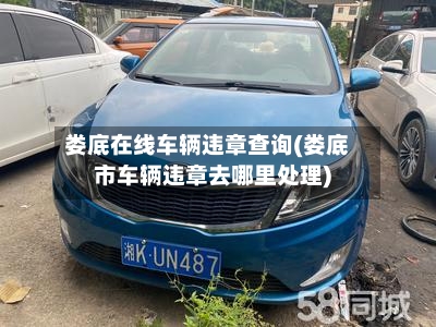 娄底在线车辆违章查询(娄底市车辆违章去哪里处理)