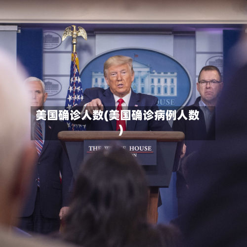 美国确诊人数(美国确诊病例人数)-第2张图片