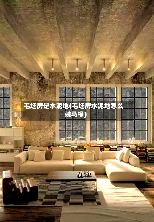 毛坯房是水泥地(毛坯房水泥地怎么装马桶)