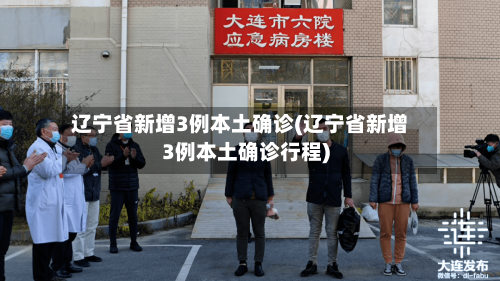 辽宁省新增3例本土确诊(辽宁省新增3例本土确诊行程)